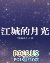 江城的月光小说封面