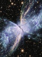 诱她成瘾秦少独宠作精小青梅全文