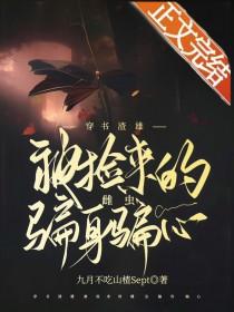 私宠前妻渣夫要复婚全文阅读