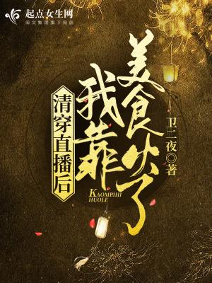 南刘禅穿越成赵构的